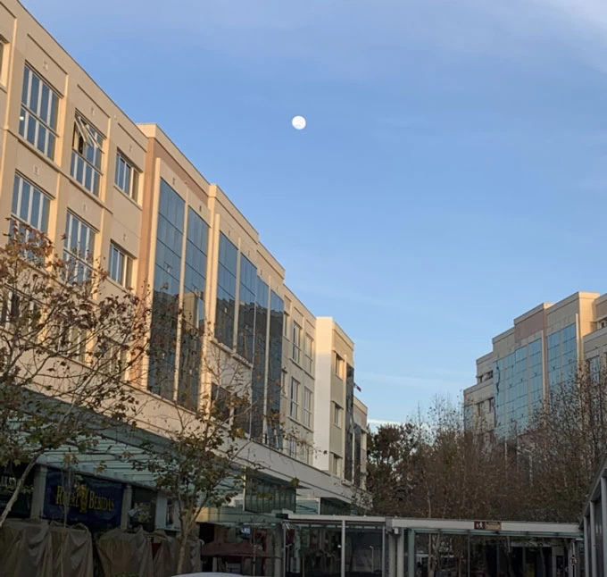 Carolina Oshiro - Psicóloga Clínica e Esportiva - The Square Open Mall